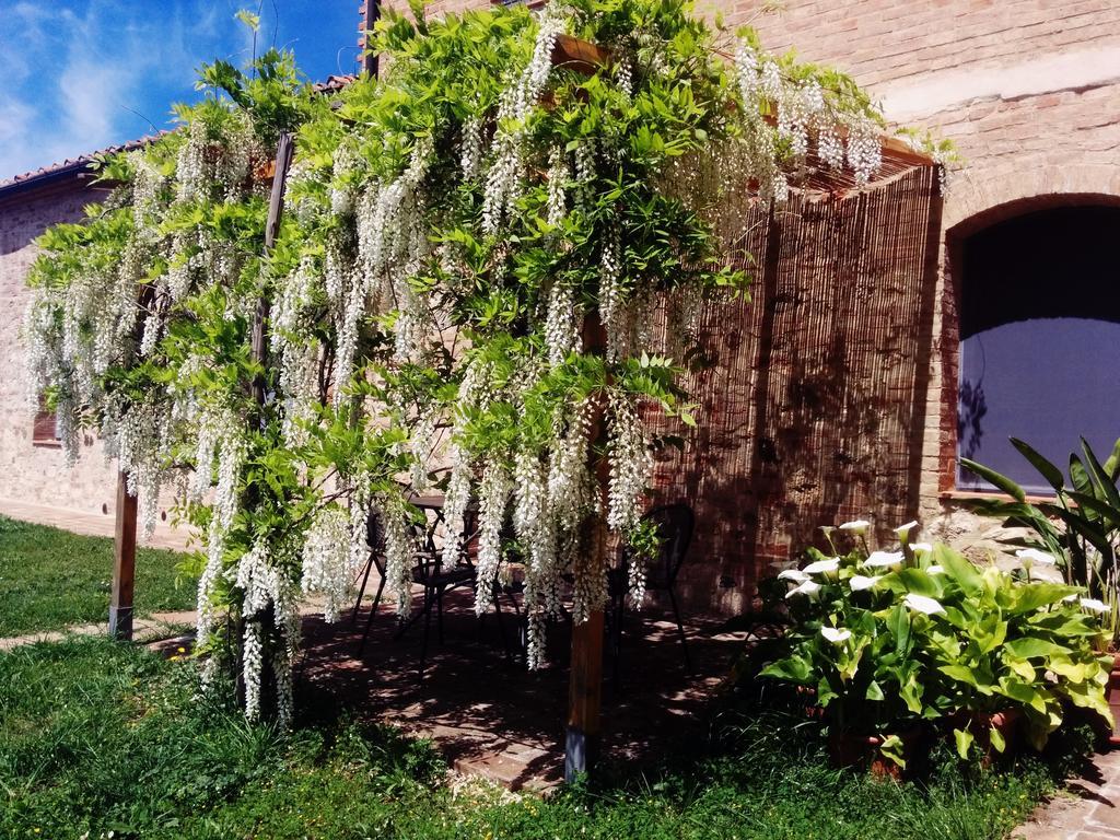 La Fornace di San Galgano Villa Frosini Bagian luar foto