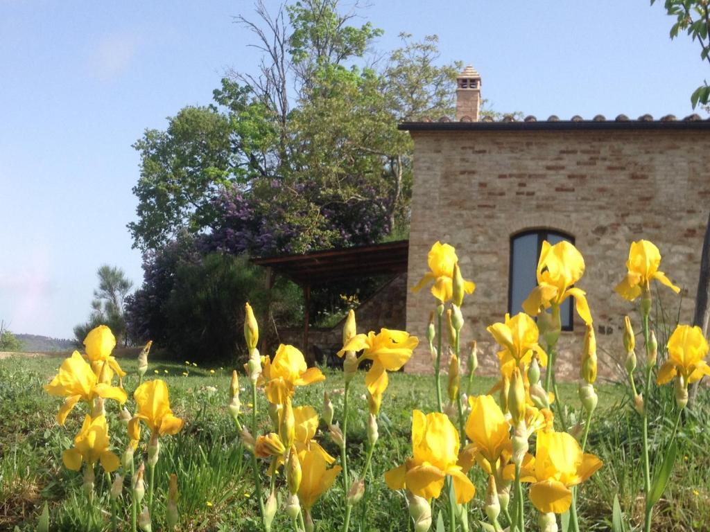 La Fornace di San Galgano Villa Frosini Bagian luar foto